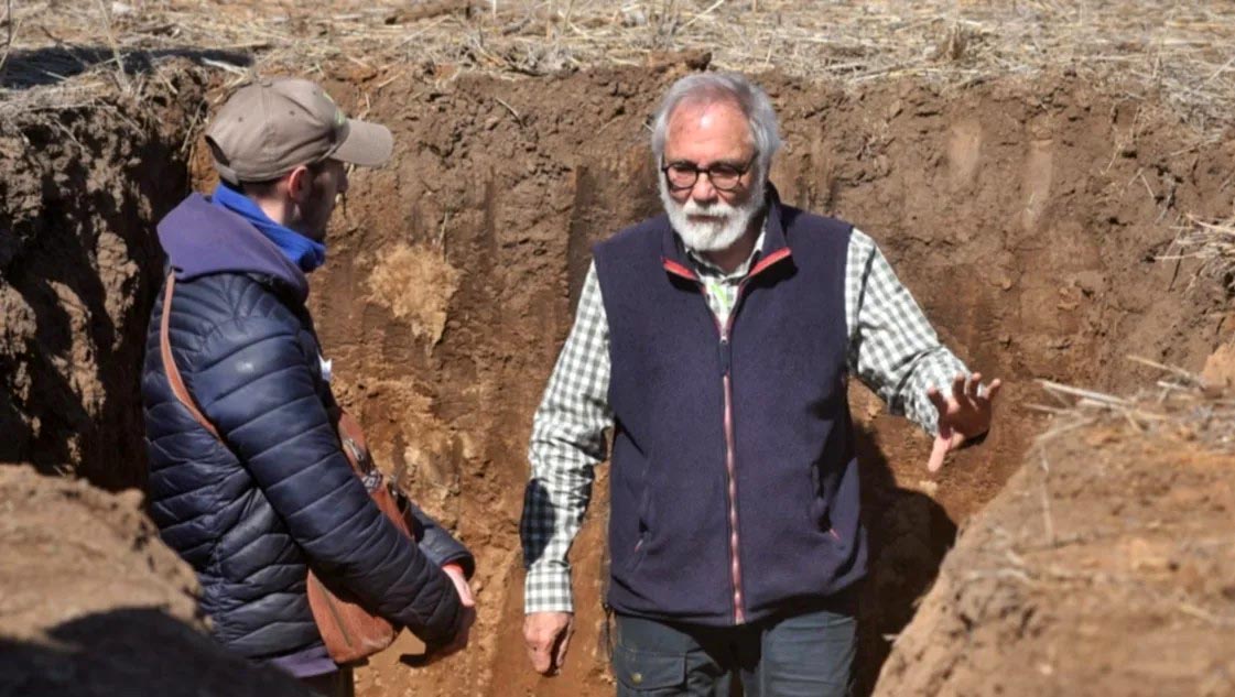 Una mirada hacia la agricultura profunda: ¿de qué se trata el suelo vivo?